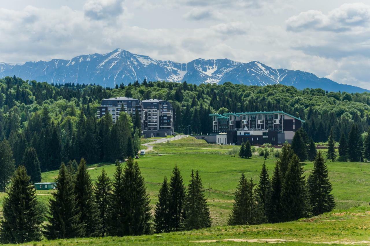 Timber View Apartment Silver Mountain بويانا براسوف المظهر الخارجي الصورة