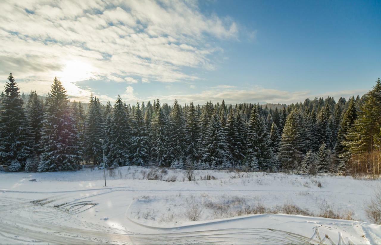 Timber View Apartment Silver Mountain بويانا براسوف المظهر الخارجي الصورة